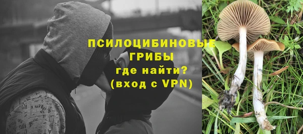 каннабис Алексеевка