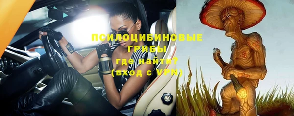 молекула духа Алексин