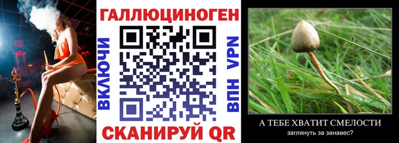 hydra ONION  Калтан  Галлюциногенные грибы Psilocybine cubensis 